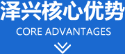 四大優勢與您合作的基石